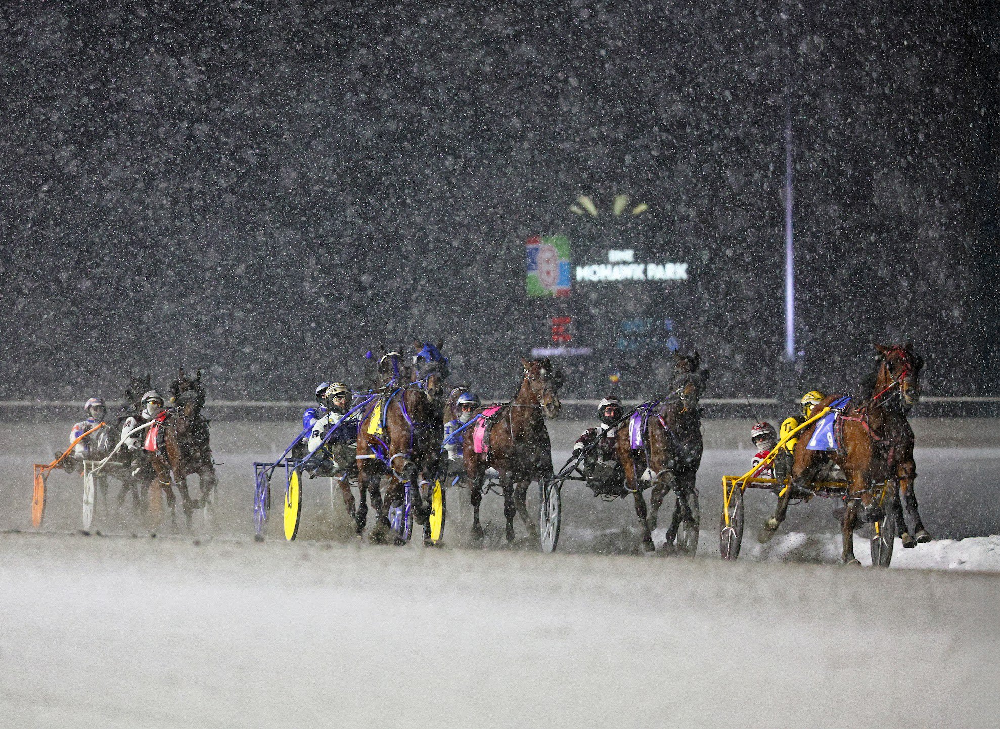 Back to business for tonight’s season opener at Woodbine Mohawk Park