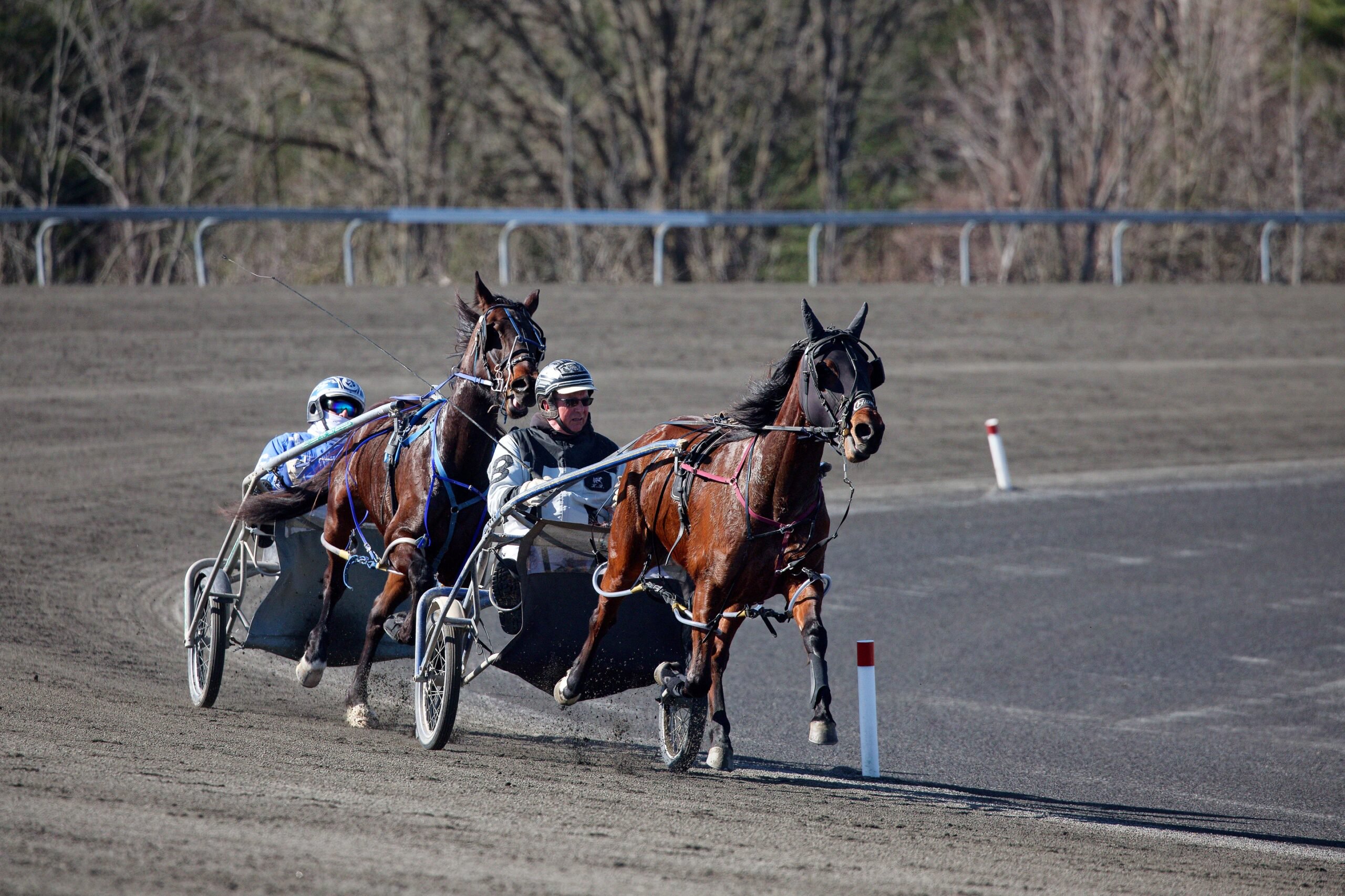 Wednesday Training Cancelled at Woodbine Mohawk Park