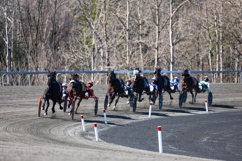 woodbine mohawk park (New Image Media)