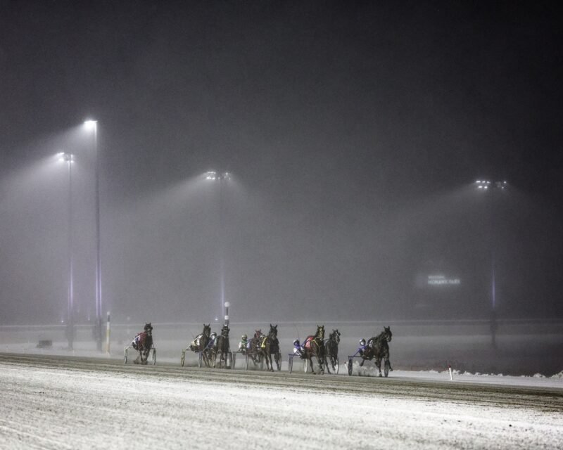 Woodbine Mohawk Park carries Monday draw to Thursday