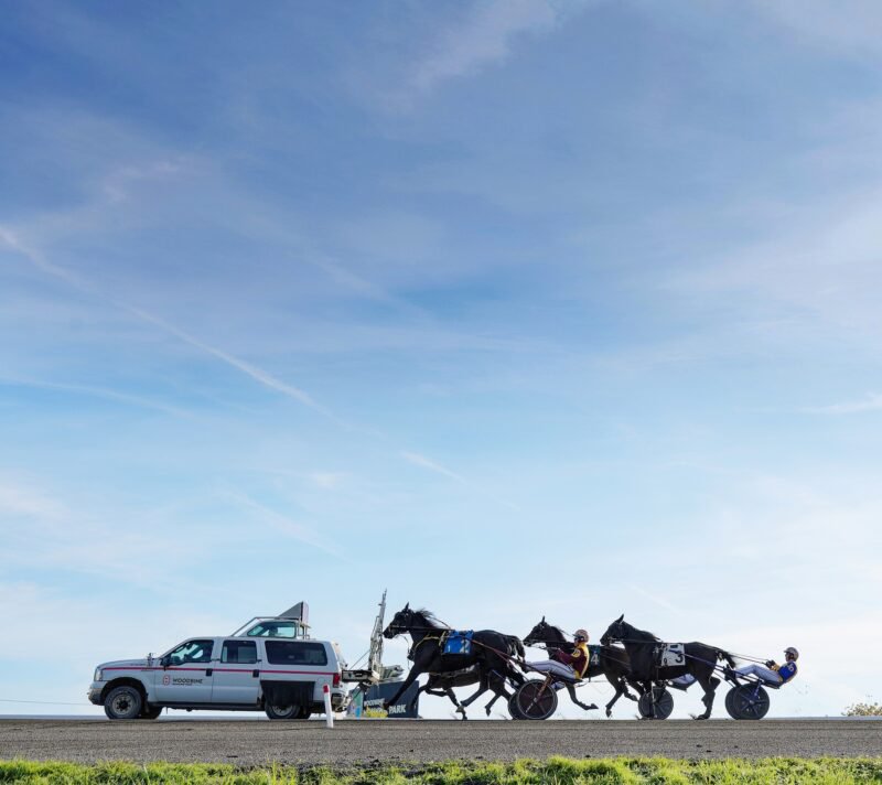 Woodbine Mohawk Park