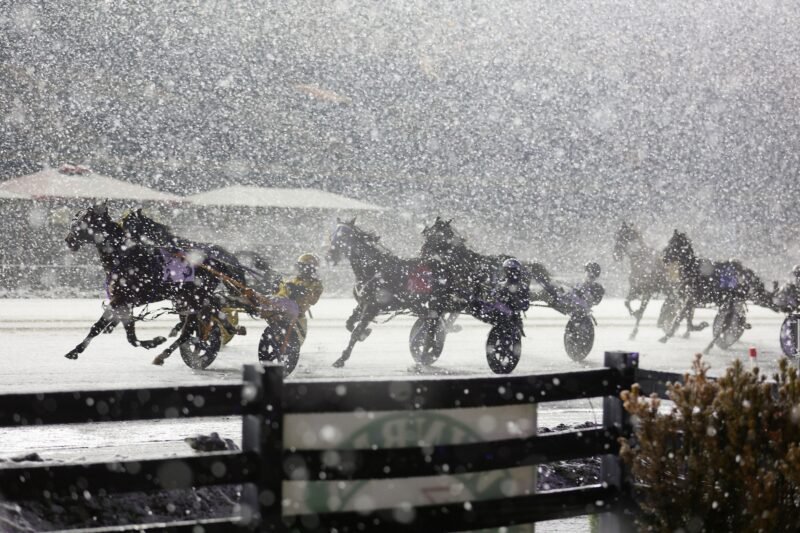 New Pop-Up Series at Woodbine Mohawk Park