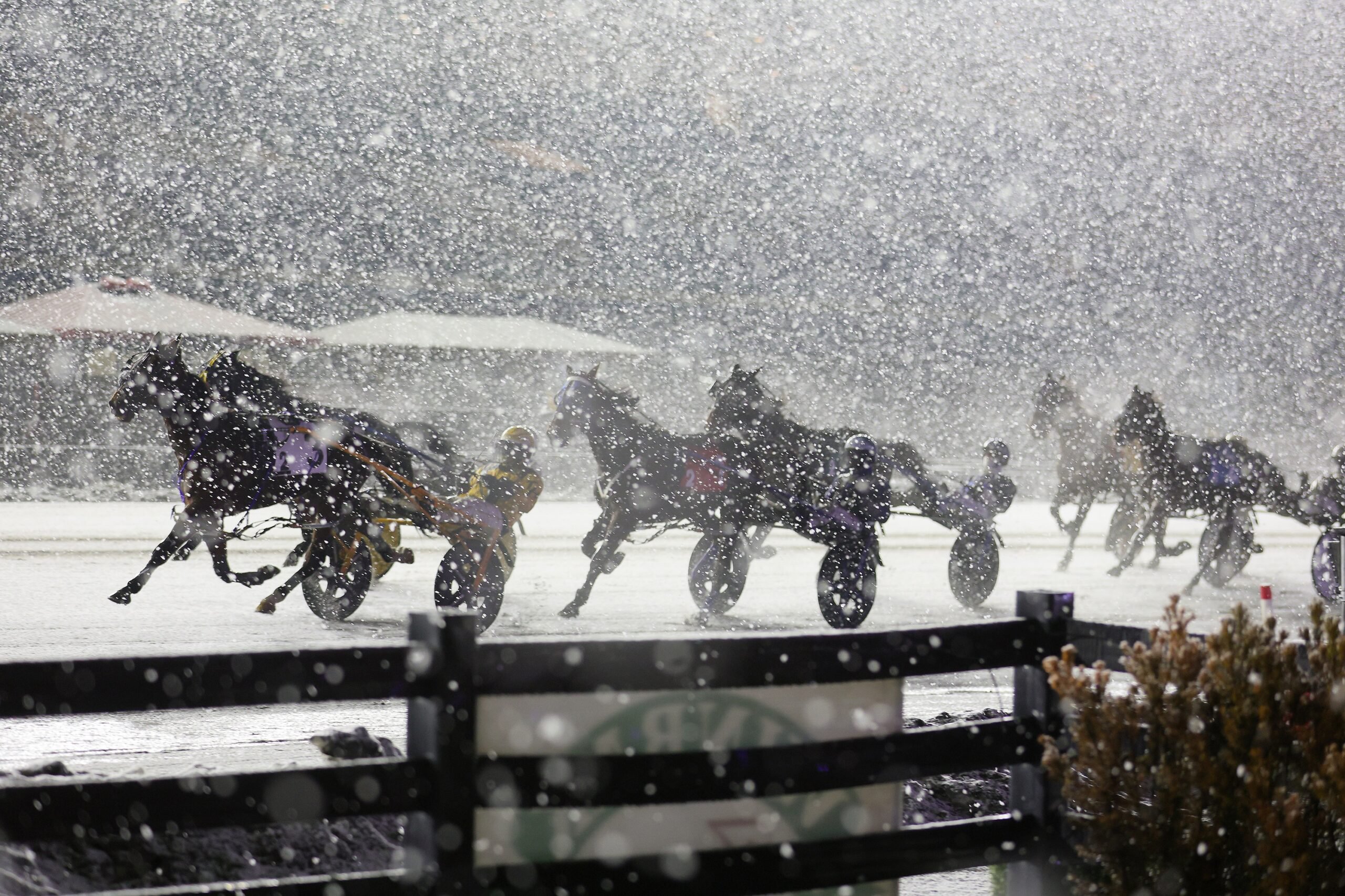 New Pop-Up Series at Woodbine Mohawk Park