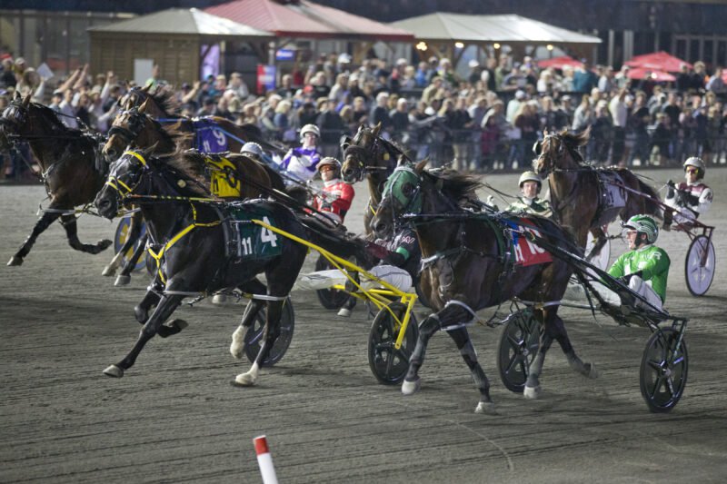 Woodbine releases 2026 Standardbred Stakes Schedule