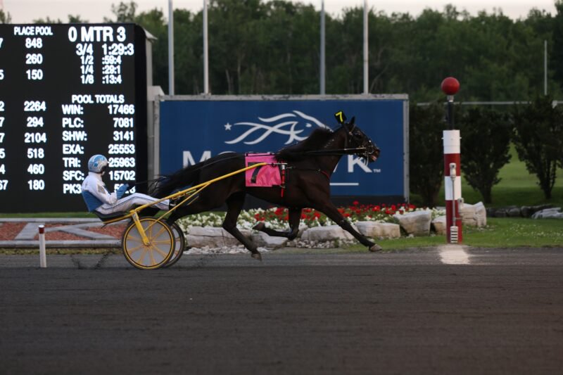 Steel Reserve and driver Chris Christoforou winning Race 3 on June 25, 2015 at Woodbine Mohawk Park (New Image Media)