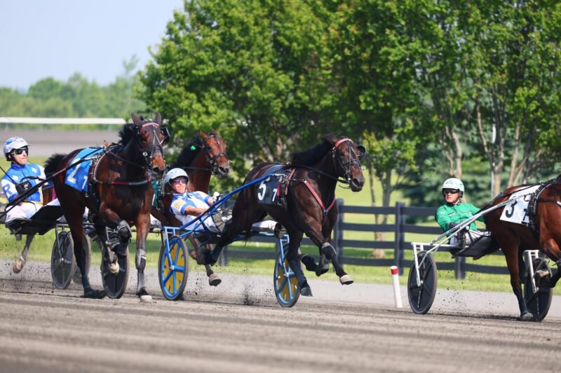 Woodbine submits bid to host The Hambletonian at Woodbine Mohawk Park