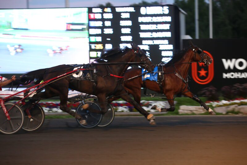 Masseno (#5) finishing second behind Windsong Patriot (#2) on July 28, 2020 at Woodbine Mohawk Park (New Image Media)