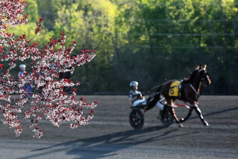 Woodbine Mohawk Park