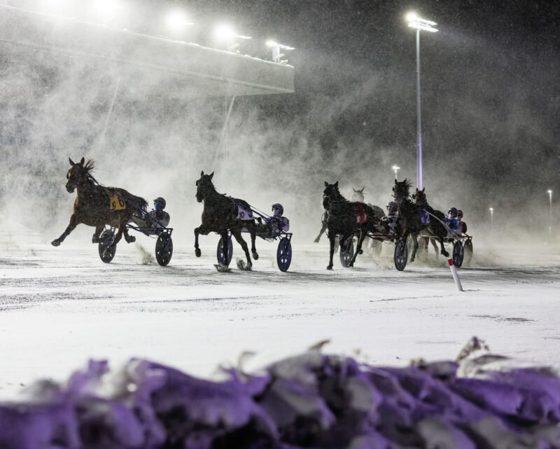 New Pop-Up Series at Woodbine Mohawk Park