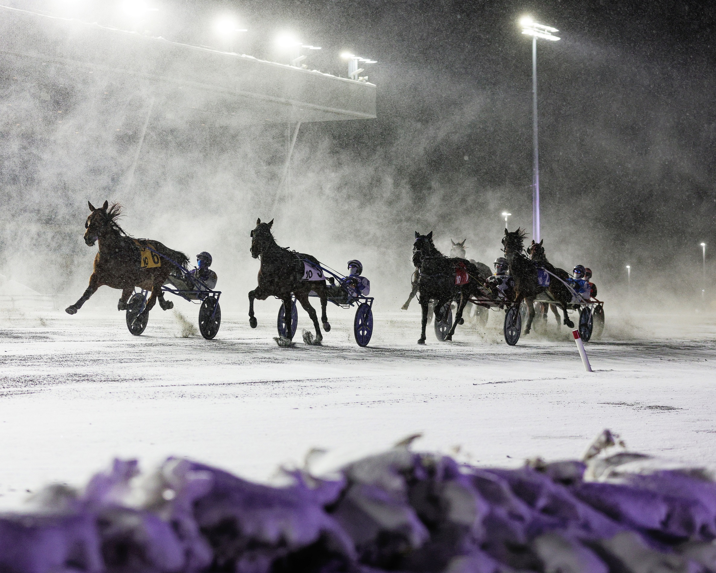 New Pop-Up Series at Woodbine Mohawk Park