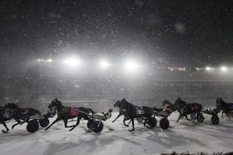 Woodbine Mohawk Park