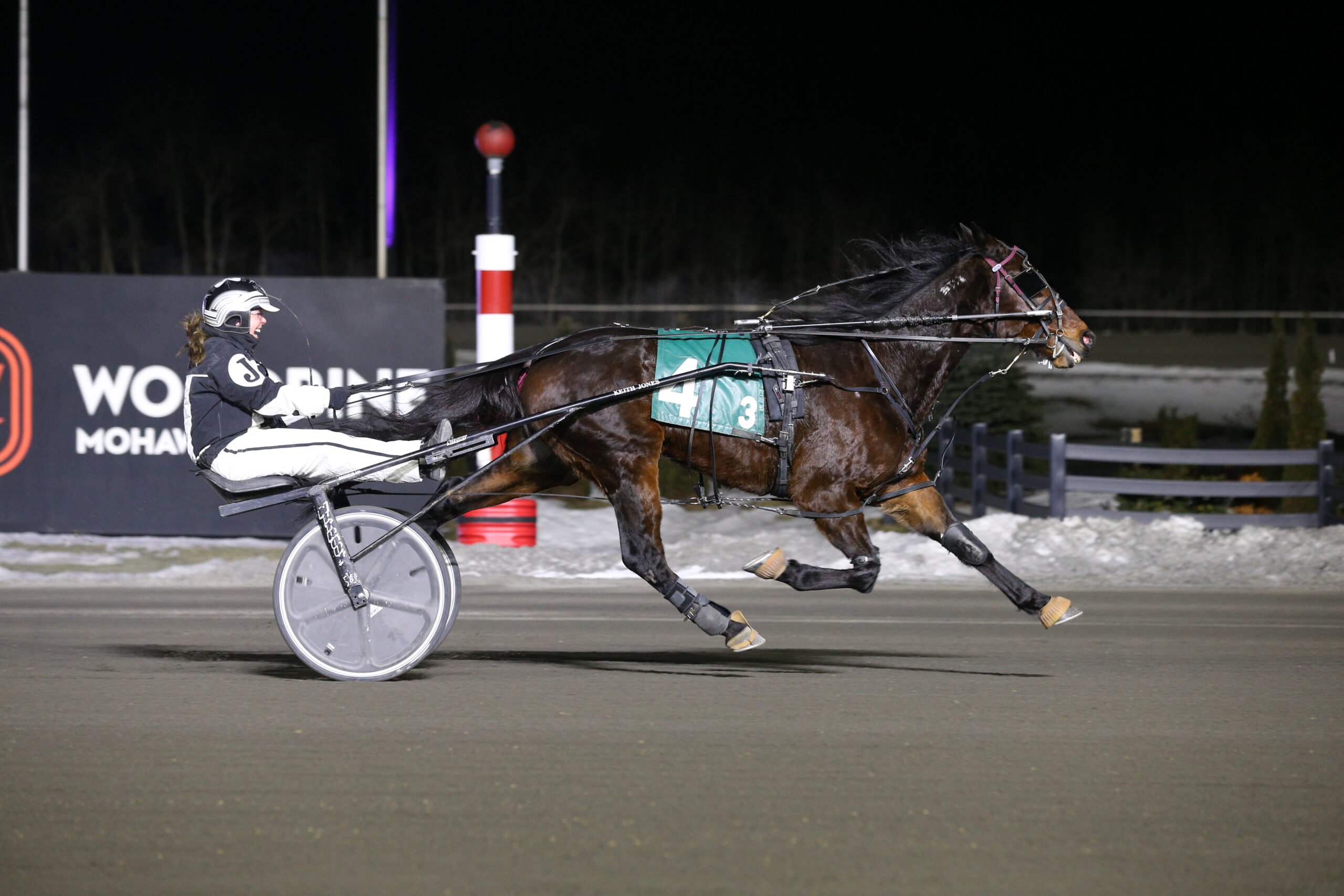 Maggie Jones driving Veracruz to victory on March 8, 2025 at Woodbine Mohawk Park (New Image Media)
