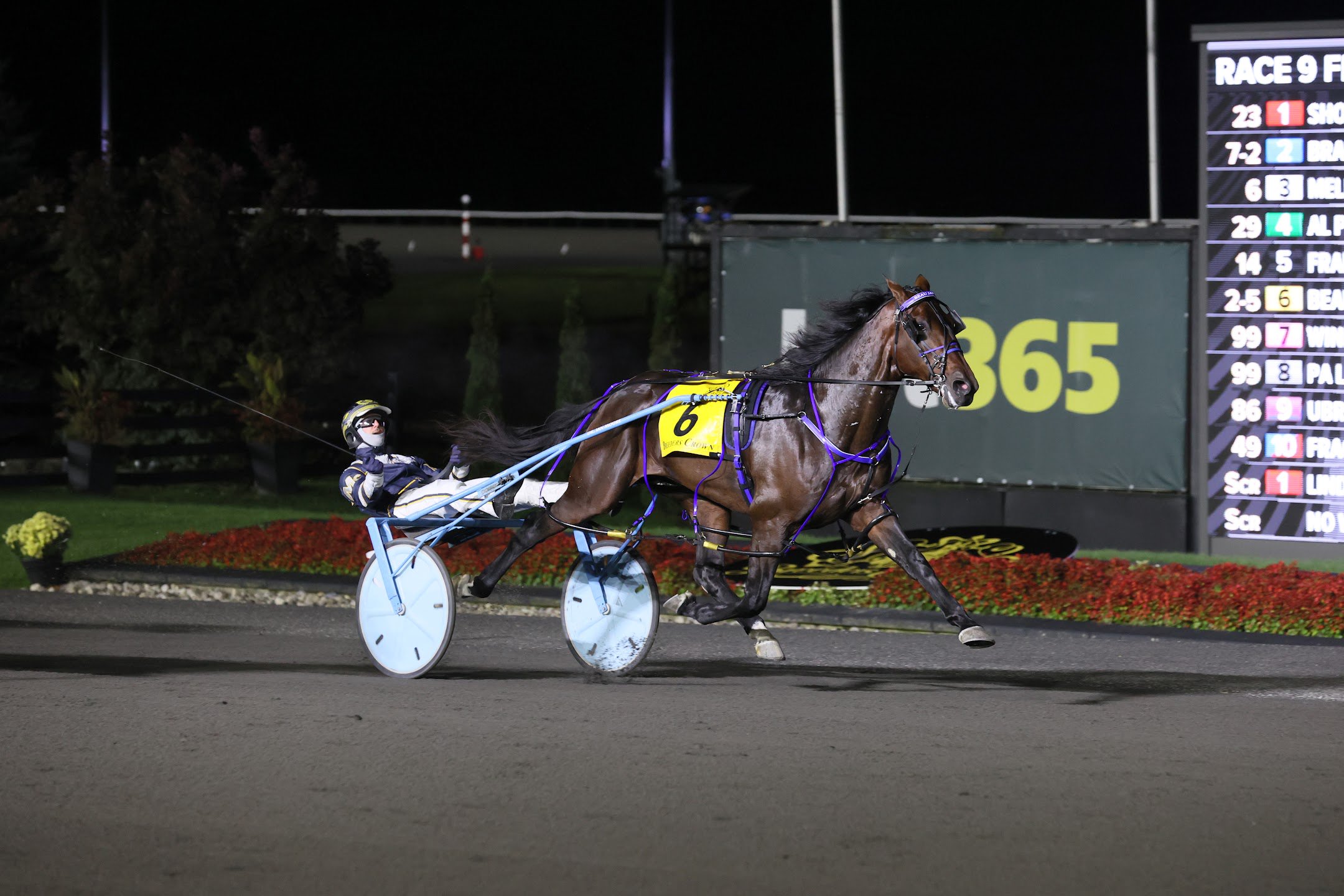 Beau Jangles and Bob McClure winning the 2025 Breeders Crown at Woodbine Mohawk Park. (New Image Media)
