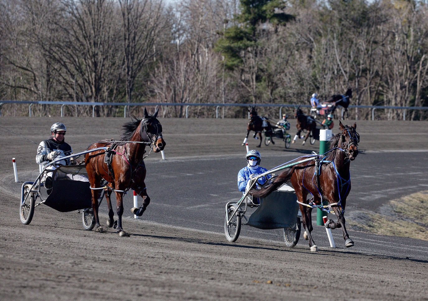 Training Rescheduled at Woodbine Mohawk Park