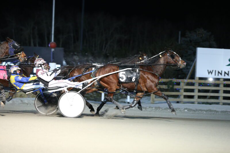 Bettor Notbitter and driver Doug McNair winning Race 6 on January 7, 2022 at Woodbine Mohawk Park (New Image Media)