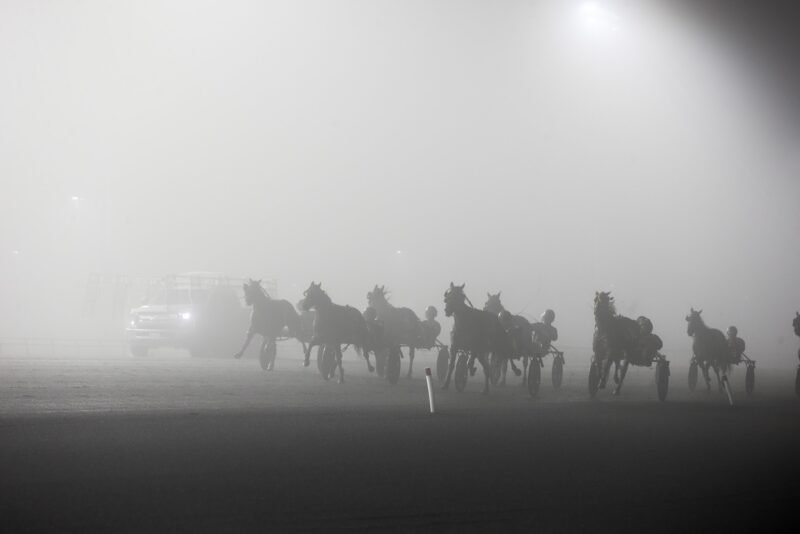 Heavy fog at Woodbine Mohawk Park. (New Image Media)