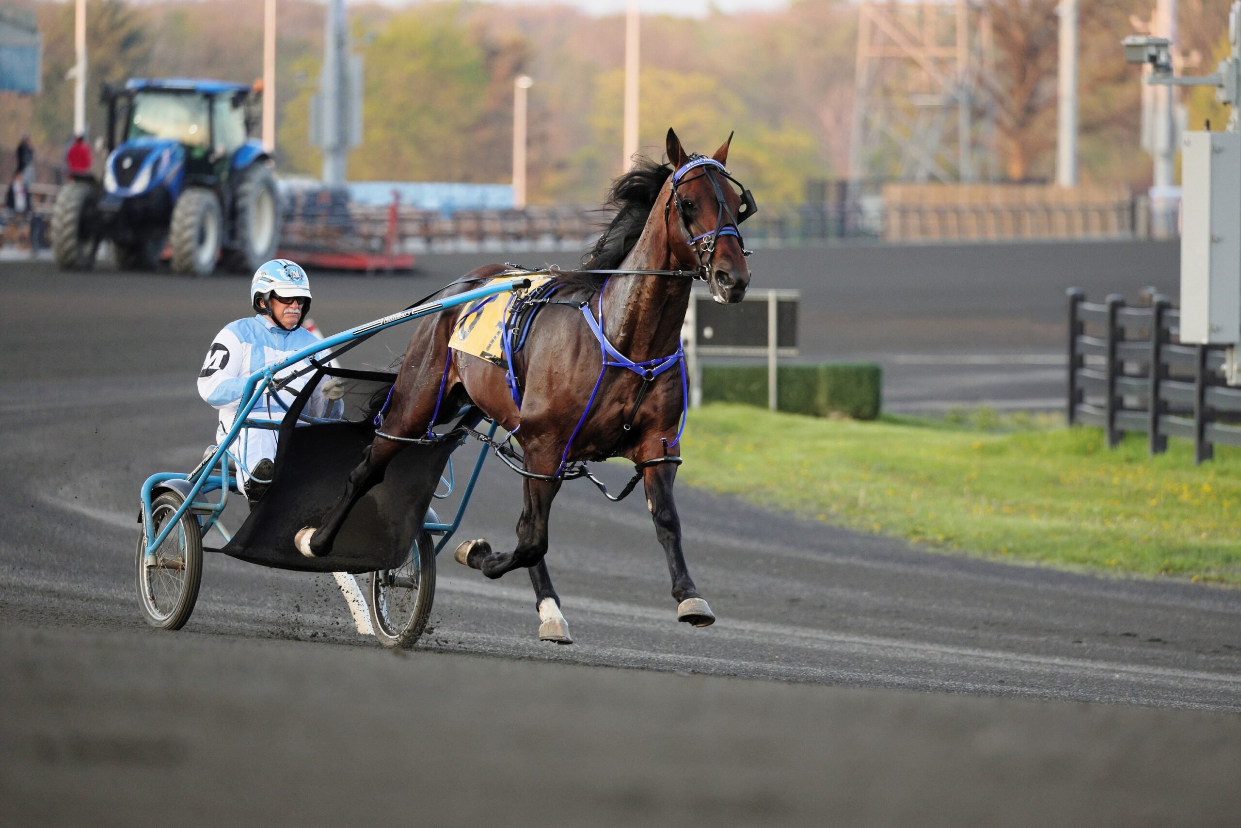 Woodbine mohawk park