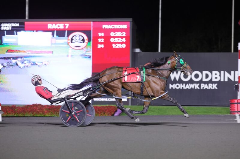 Brandon Blvd, pictured winning a Breeders Crown elimination last October, is the likely favourite for Saturday's Somebeachsomewhere (G3). (New Image Media)