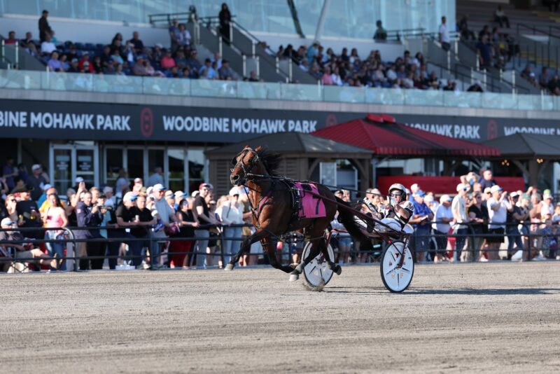 4-Year-Old pacer Crack Shot winning in front of the Woodbine Mohawk Park grandstand on June 13, 2026. (New Image Media)