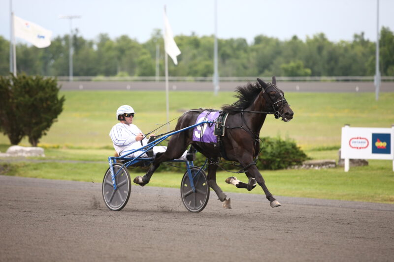 Isnt He An Angel winning Race 2 on July 2, 2019 at Woodbine Mohawk Park (New Image Media)