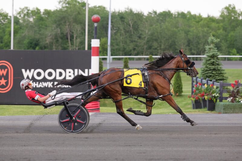 Be Perfect BG and driver Dexter Dunn winning the first elimination for the Fan Hanover on June 6, 2026 at Woodbine Mohawk Park (New Image Media)