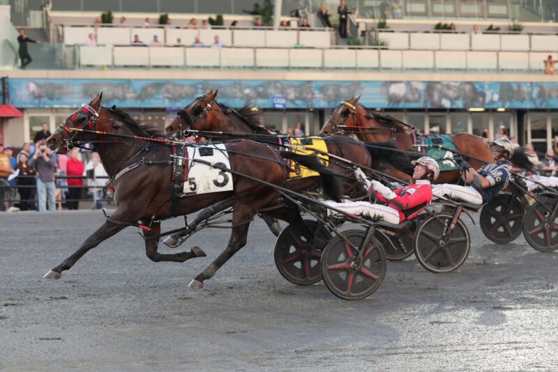 Ervin Hanover winning last Saturday's Open Pace. (New Image Media)
