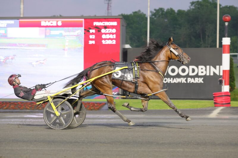 Loua Dipa and driver Ronnie Wrenn winning the second elimination for the Fan Hanover on June 6, 2026 at Woodbine Mohawk Park (New Image Media)