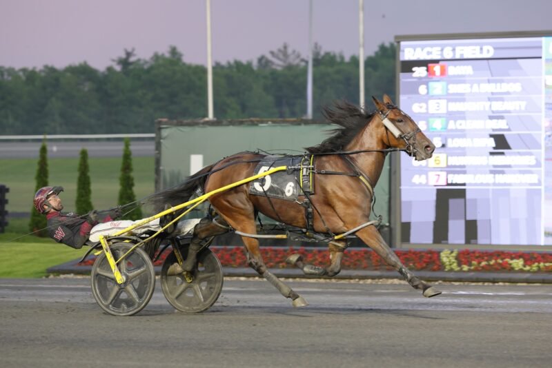 Loua Dipa winning her Fan Hanover elimination. (New Image Media)