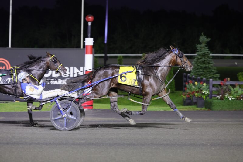 Sweet Lovin Lou and driver James MacDonald winning the first elimination for the Pepsi North America Cup on June 6, 2026 at Woodbine Mohawk Park (New Image Media)