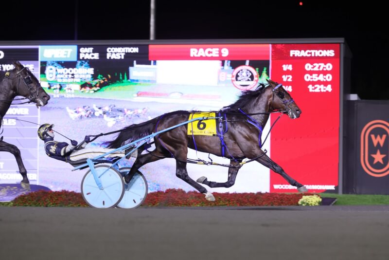 Beau Jangles, pictured winning last year's Breeders Crown, enters the Pepsi North America Cup eliminations undefeated. (New Image Media)
