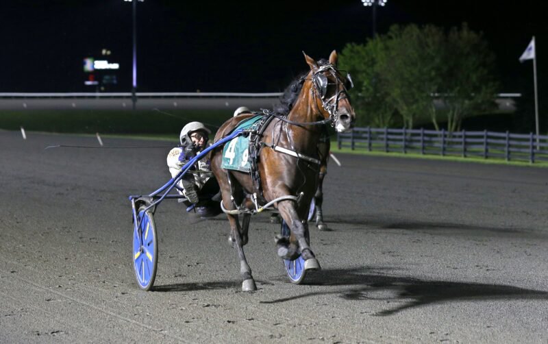 Odds On Mr Mamba and driver James MacDonald winning the second elimination for the Pepsi North America Cup on June 6, 2026 at Woodbine Mohawk Park (New Image Media)