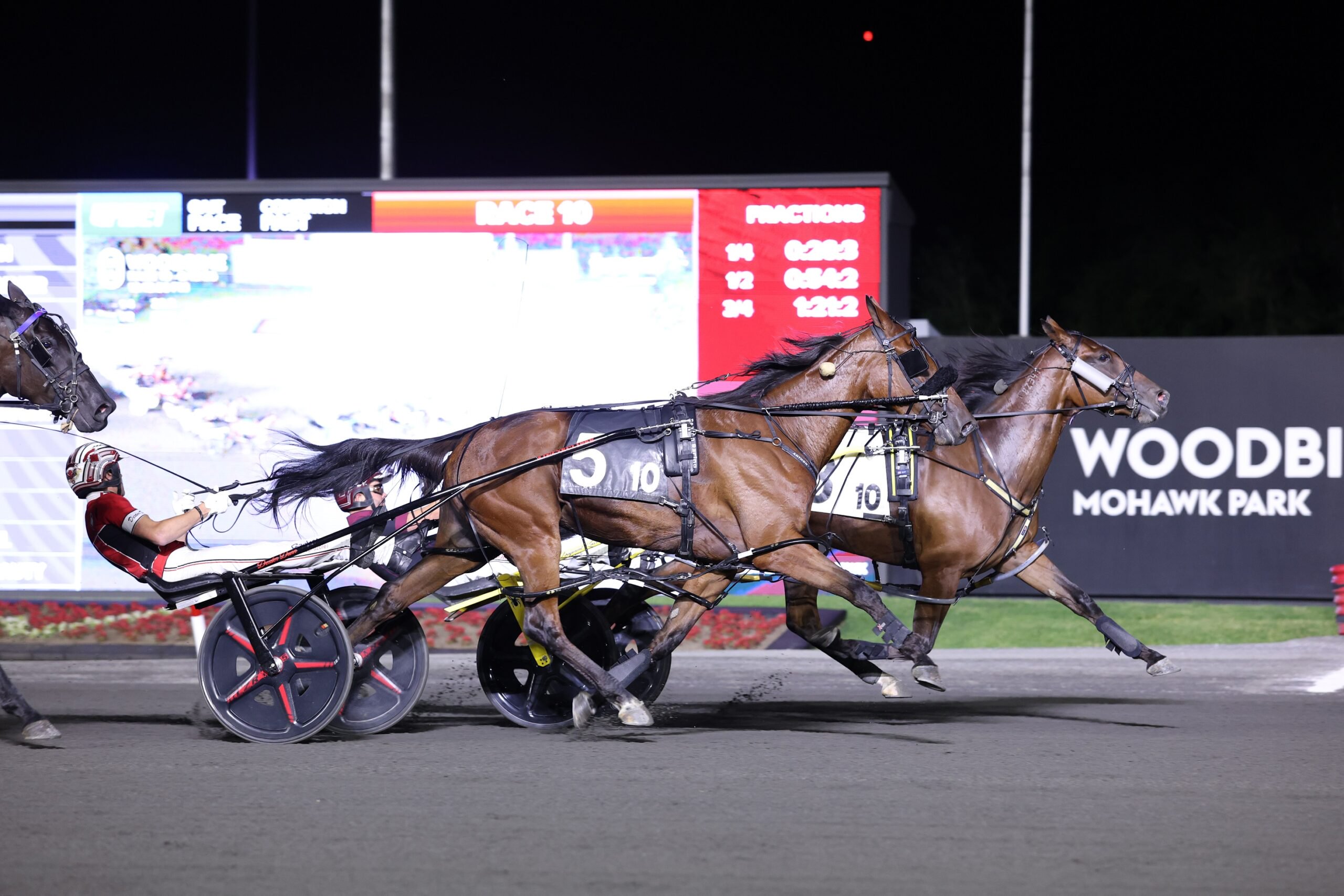 Loua Dipa and driver Ronnie Wrenn winning the Fan Hanover (G1) on June 13, 2026 at Woodbine Mohawk Park (New Image Media)