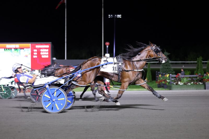 Odds On Mr Mamba and driver James MacDonald winning the 43rd Pepsi North America Cup on June 13, 2026 at Woodbine Mohawk Park (New Image Media)