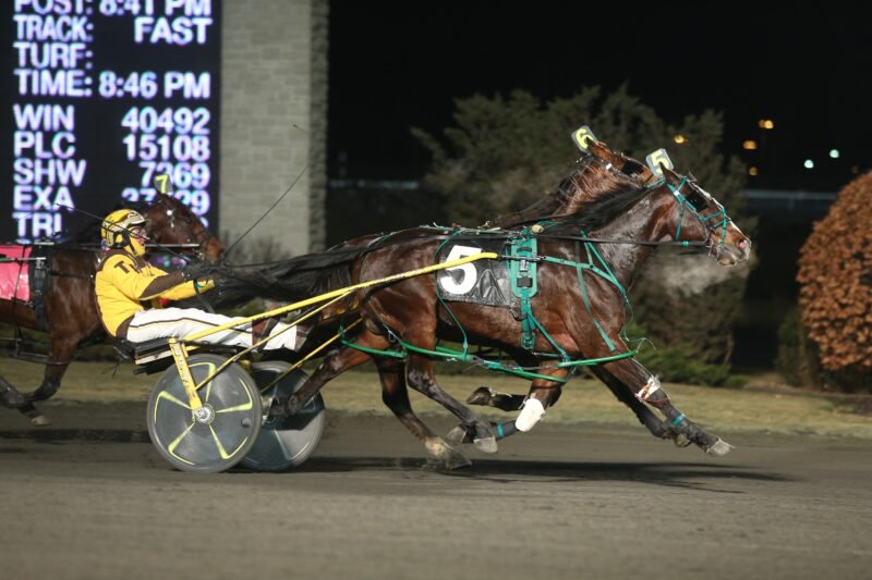 P L Heavenly and driver Trevor Henry winning Race 4 on January 30, 2016 at Woodbine (New Image Media)