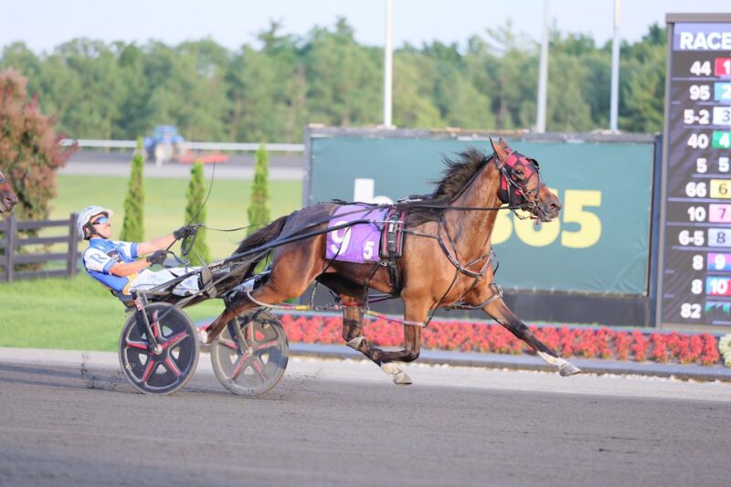 Charolais Cattle and Roy winning Friday's Tompkins-Geers. (New Image Media)