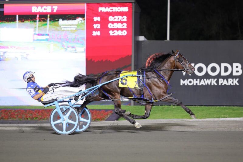 Shalom Hanover and driver Louis-Philippe Roy winning Friday's Tompkins-Geers. (New Image Media)