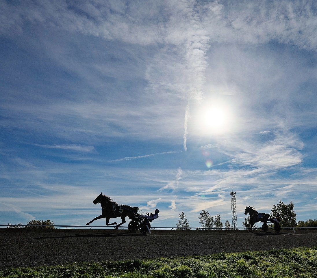 Earlier start for Qualifiers at Woodbine Mohawk Park