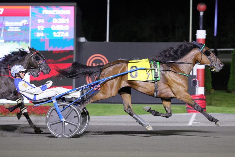 Rebel Moon winning an elimination for the Pure Ivory. (New Image Media)