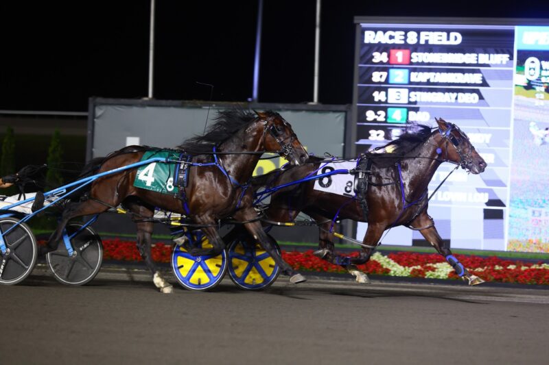 Rookie Grand Circuit races set to begin at Woodbine Mohawk Park