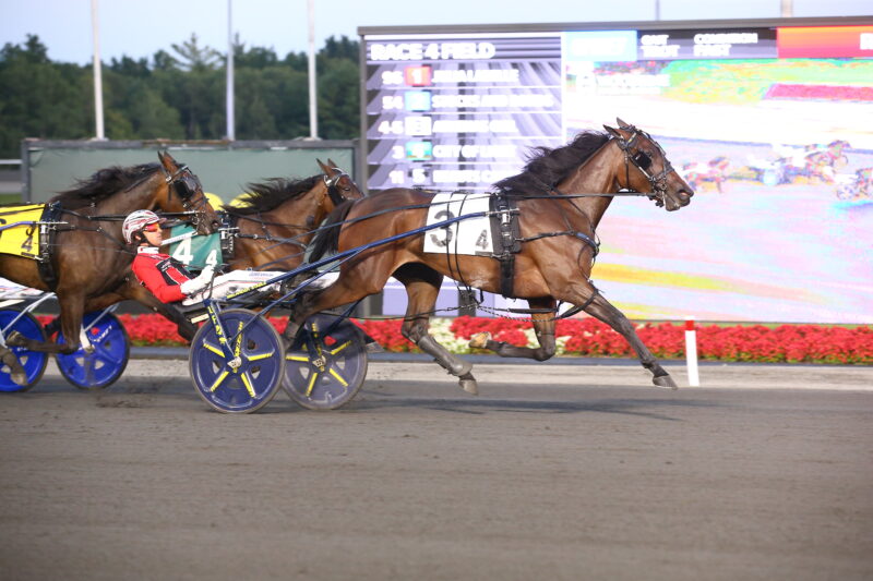 Athena's Girl and driver Dexter Dunn winning the first Peaceful Way elimination on August 21, 2026 at Woodbine Mohawk Park (New Image Media)