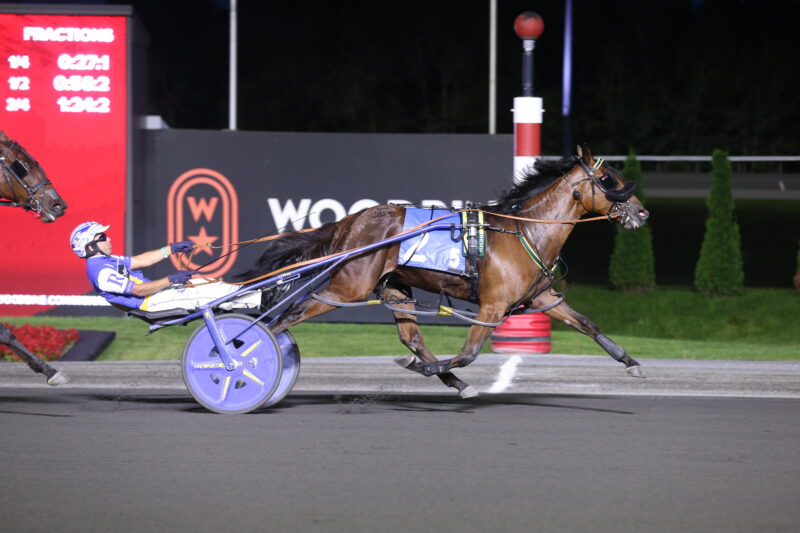 Treacherous Nova and driver Louis-Philippe Roy winning the Whenuwishuponastar Final on August 21, 2026 at Woodbine Mohawk Park (New Image Media)