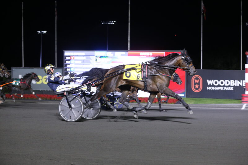 Dataprivacy and driver Bob McClure winning the second Peaceful Way elimination on August 21, 2026 at Woodbine Mohawk Park (New Image Media)