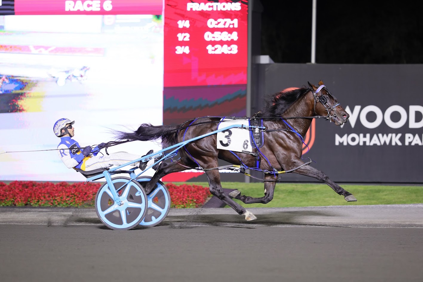 Shalom Hanover winning a division of the Nassagaweya Stakes, (New Image Media)