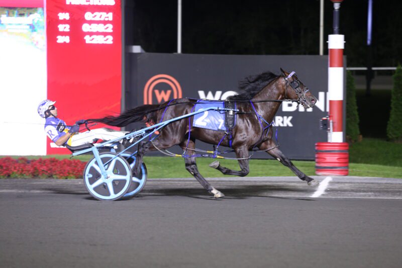 Shalom Hanover and driver Louis-Philippe Roy winning the Dream Maker final on August 21, 2026 at Woodbine Mohawk Park (New Image Media)