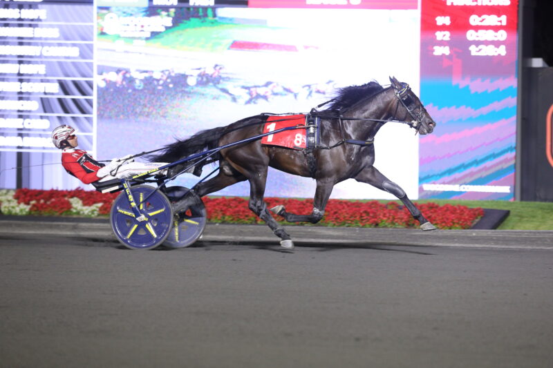 Geos Hope and driver Dexter Dunn winning the first William Wellwood elimination on August 21, 2026 at Woodbine Mohawk Park (New Image Media)