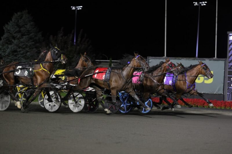 Prince Hal Hanover (#9, purple) prevails in a wild finish. (New Image Media)