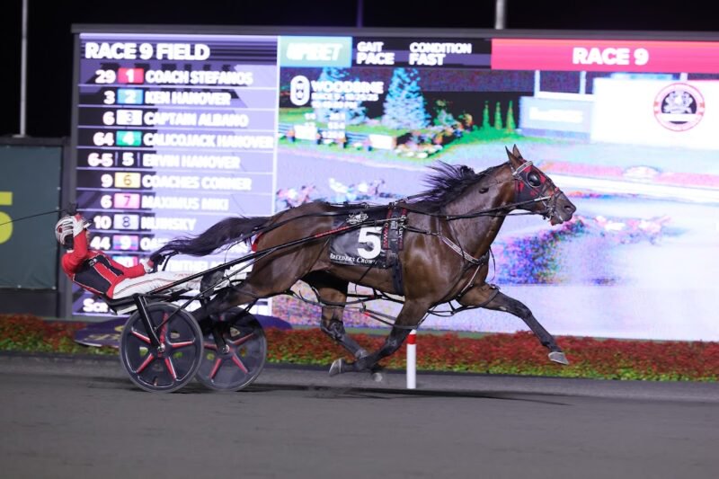 Ervin Hanover winning the Breeders Crown last October. (New Image Media)