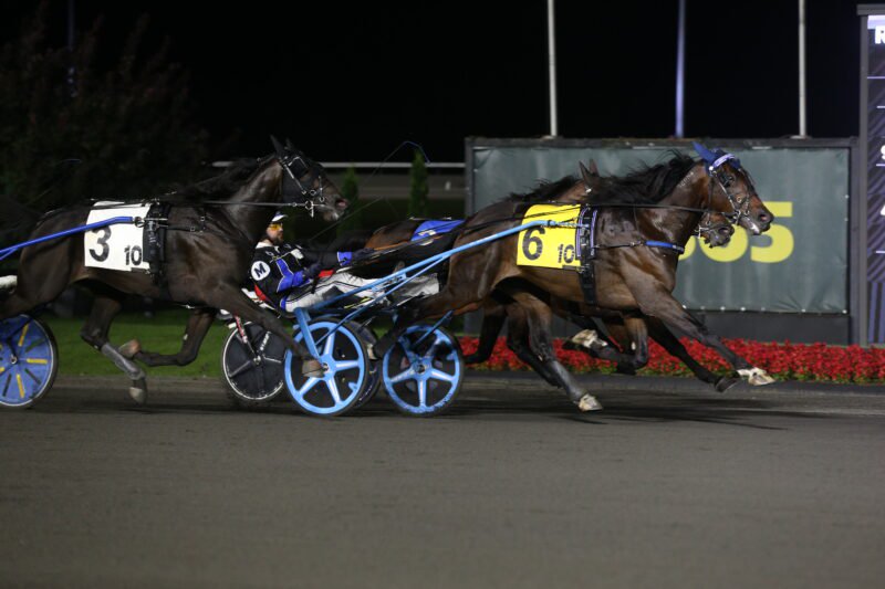 Detonater Hanover and driver Tyler Moore winning the second William Wellwood elimination on August 21, 2026 at Woodbine Mohawk Park (New Image Media)