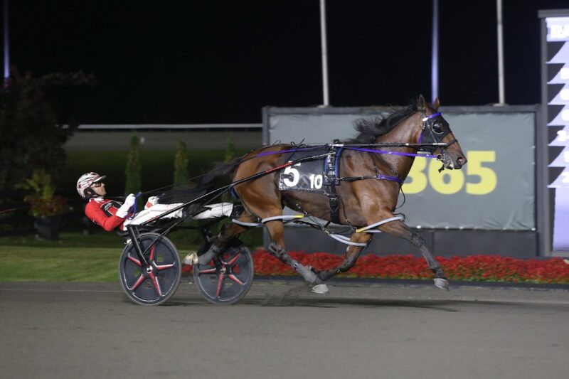 Twin B Joe Fresh and Dexter Dunn winning the 2025 Milton Stakes. (New Image Media)