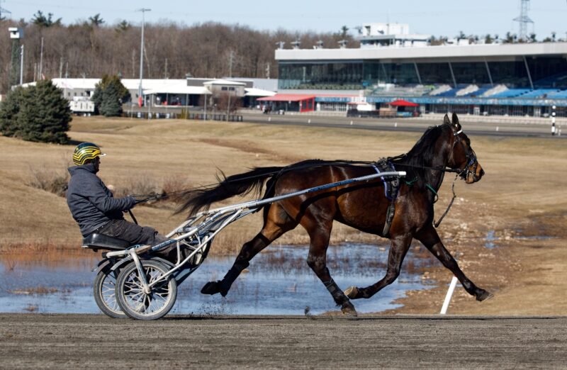 Updated Training and Qualifying Schedule for Woodbine Mohawk Park